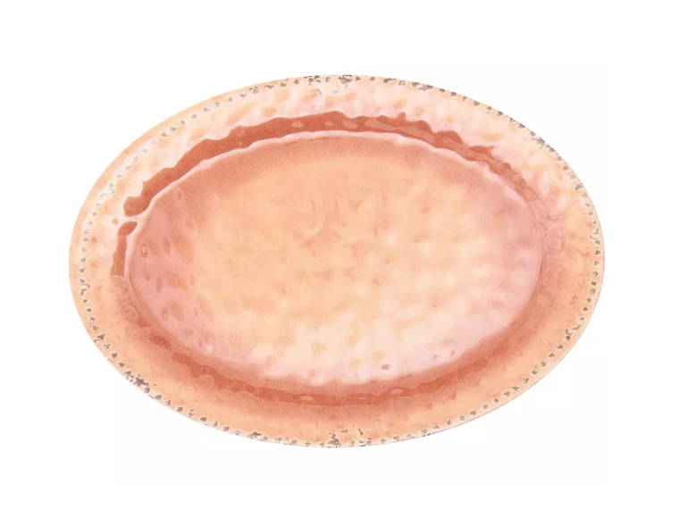 living coral color of the year 3